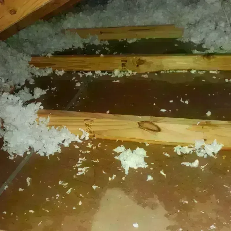 Attic Water Damage in Tanglewilde, WA